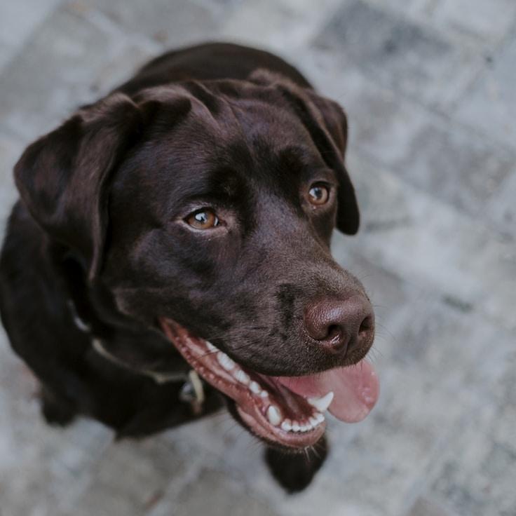 Nina Kapoor, Client Relations Director, discussing corporate gifting strategy with business clients